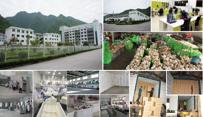 Won Long Konjac Factory